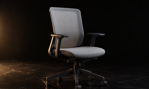 Relaxbro e710 · The Petite Ergonomic Chair